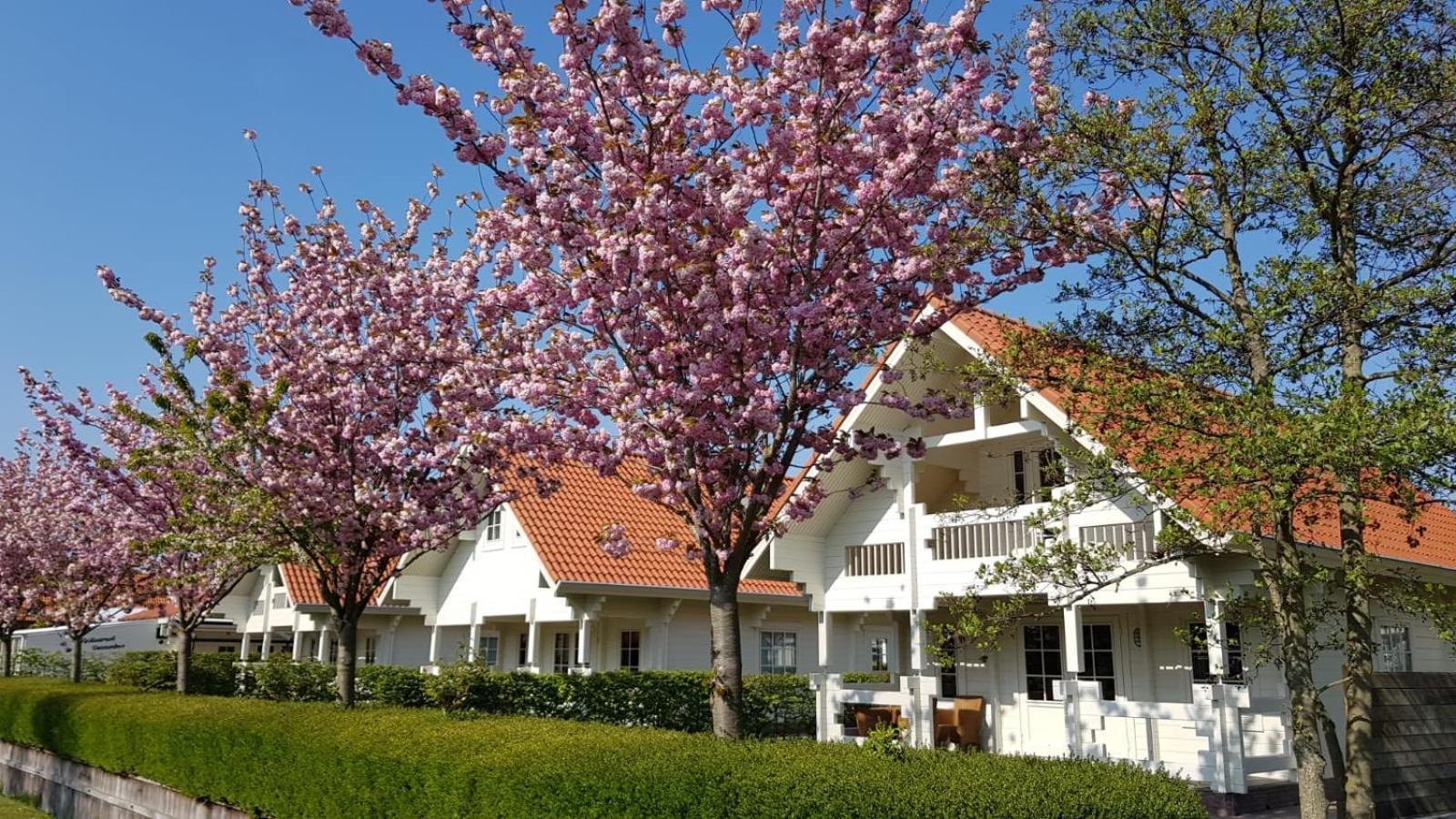Dennenbos 3* Oostkapelle