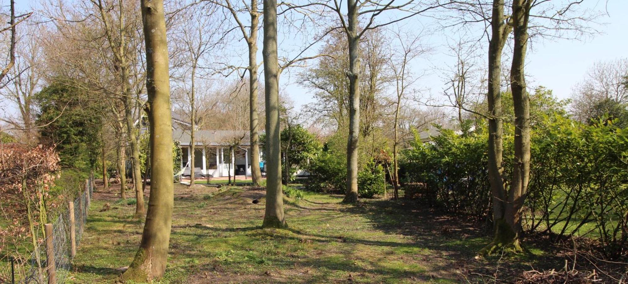 Dennenbos Oostkapelle