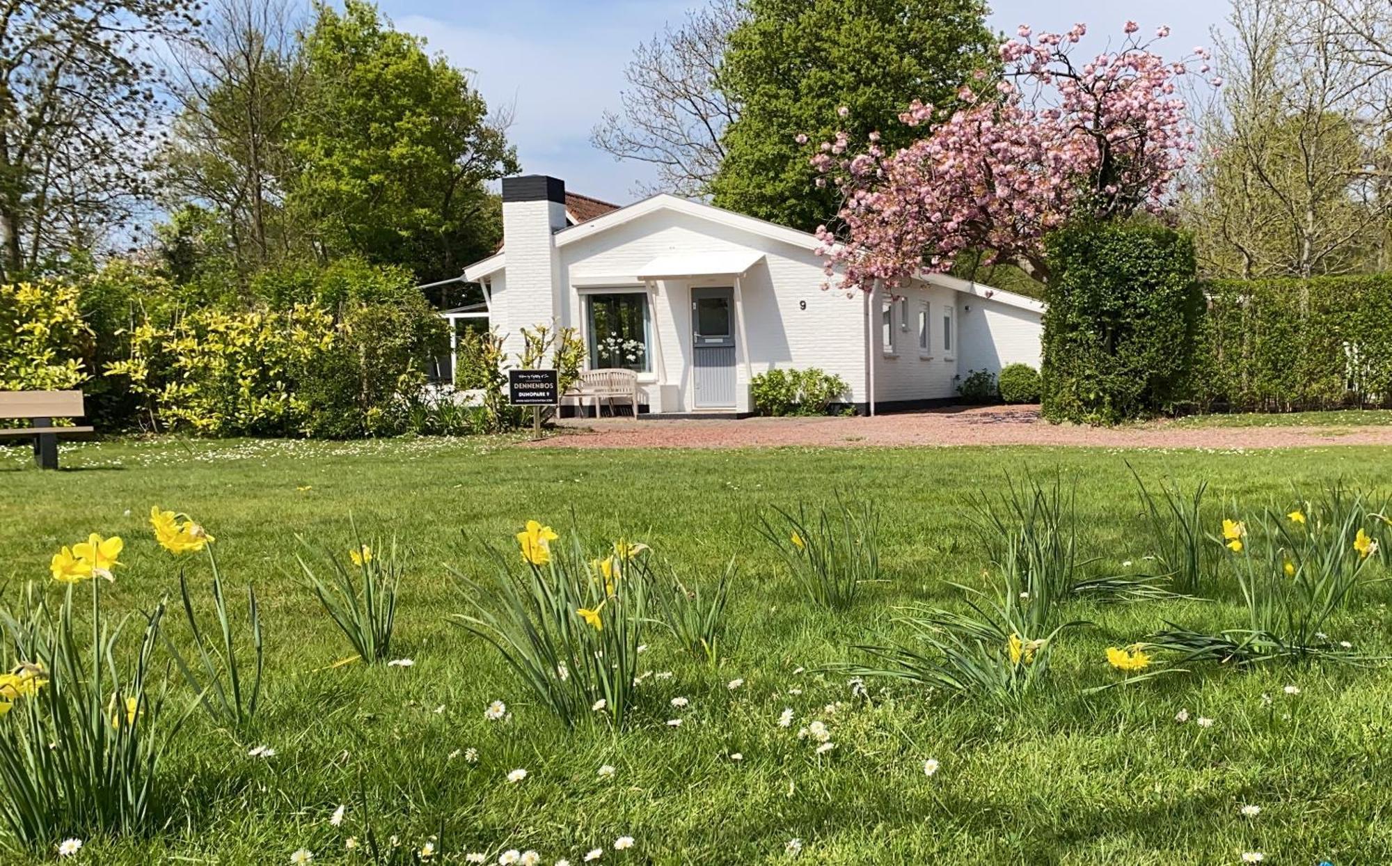 Dennenbos