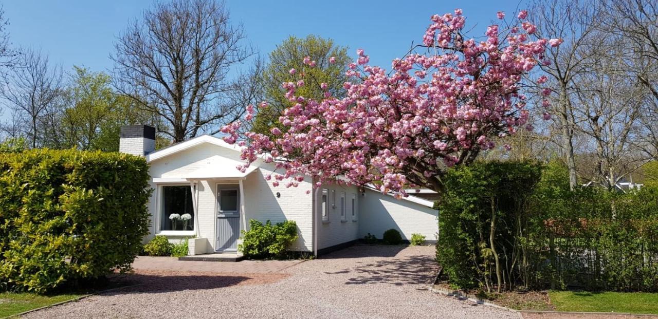 Dennenbos Ferienpark